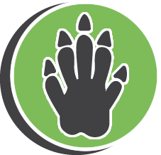 Pest Relocating