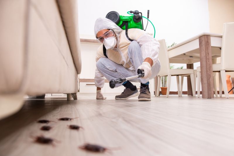 Pest Inspection Services